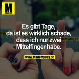 Es gibt Tage, da ist es wirklich schade, dass ich nur zwei Mittelfinger habe.
