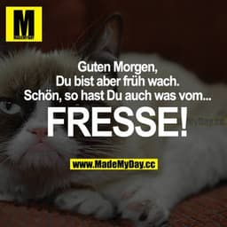 Guten Morgen, du bist aber früh wach. Schön, so hast du auch was vom... FRESSE!
