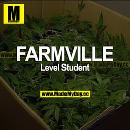 FARMVILLE
Level Student