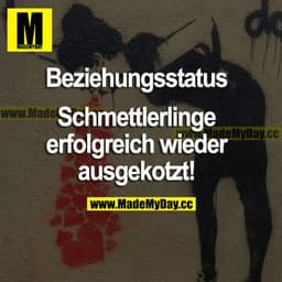 Beziehungsstatus: Schmetterlinge erfolgreich wieder ausgekotzt!