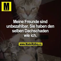 Meine Freunde sind unbezahlbar. Sie haben den selben Dachschaden wie ich.