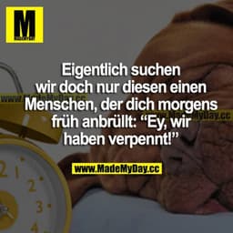 Eigentlich suchen wir doch nur diesen einen Menschen, der dich morgens früh anbrüllt: "Ey, wir haben verpennt!"