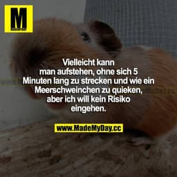 Vielleicht kann man aufstehen, ohne sich 5 Minuten lang zu strecken und wie ein Meerschweinchen zu quieken, aber ich wil