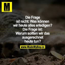 Die Frage ist nicht: Was können wir heute alles erledigen? Die Frage ist: Warum sollten wir das ausgerechnet heute tun?