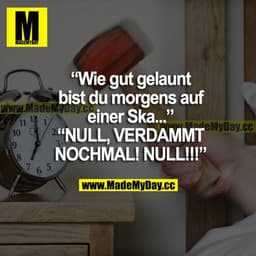 "Wie gut gelaunt bist du morgens auf einer Ska..."
"NULL, VERDAMMT NOCHMAL! NULL!!!"