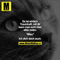 Es ist einfach traumhaft, mit dir kann man echt über alles reden."Miau" Ich dich doch auch.