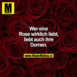 Wer eine Rose wirklich liebt, liebt auch ihre Dornen.