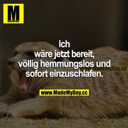 Ich wäre jetzt bereit, völlig hemmungslos und sofort einzuschlafen.