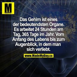 Das Gehirn ist eines der bedeutendsten Organe. Es arbeitet 24 Stunden am Tag, 365 Tage im Jahr. Vom Anfang des Lebens bi