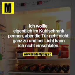 Ich wollte eigentlich im Kühlschrank pennen, aber die Tür geht nicht ganz zu und bei Licht kann ich nicht einschlafen.