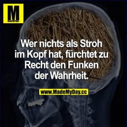 Wer nichts als Stroh im Kopf hat, fürchtet zu Recht den Funken der Wahrheit.