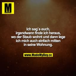 Ich sag's euch, irgendwann finde ich heraus, wo der Staub wohnt und dann lege ich mich auch einfach mitten in seine Wohn