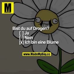 Bist du auf Drogen?
 [  ] Ja 
[  ] Nein
[x] Ich bin eine Blume