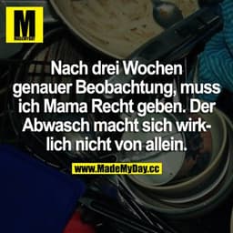Nach drei Wochen genauer Beobachtung, muss ich Mama Recht geben. Der Abwasch macht sich wirklich nicht von allein.