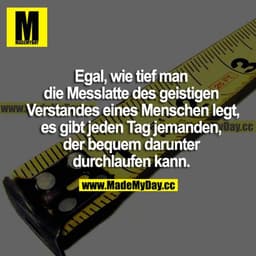 Egal, wie tief man die Messlatte des geistigen Verstandes eines Menschen legt, es gibt jeden Tag jemanden, der bequem da