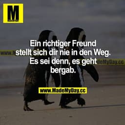 Ein richtiger Freund stellt sich dir nie in den Weg. Es sei denn, es geht bergab.