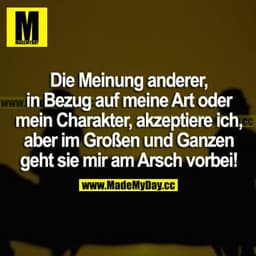 Die Meinung anderer, in Bezug auf meine Art oder mein Charakter, akzeptiere ich, aber im Großen und Ganzen geht sie mir 