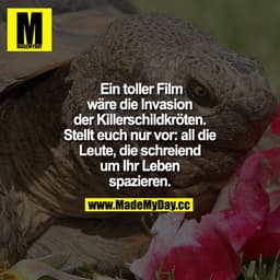  Ein toller Film wäre die Invasion der Killerschildkröten. Stellt euch nur vor: all die Leute, die schreiend um Ihr Lebe