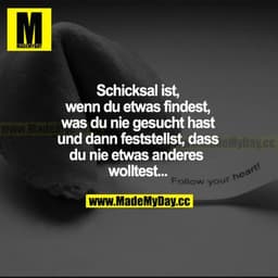 Schicksal ist, wenn du etwas findest, was du nie gesucht hast und dann feststellst, dass du nie etwas anderes wolltest..