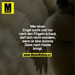 Wer einen Engel sucht und nur nach den Flügeln schaut, darf sich nicht wundern, wenn er eine dumme Gans nach Hause bring