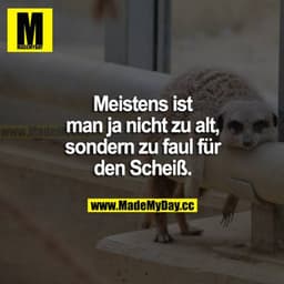 Meistens ist man ja nicht zu alt, sondern zu faul für den Scheiß.