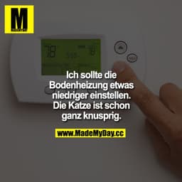 Ich sollte die Bodenheizung etwas niedriger einstellen. Die Katze ist schon ganz knusprig.