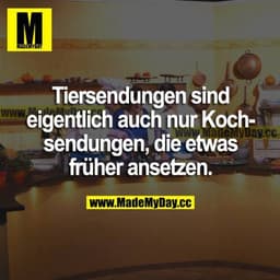 Tiersendungen sind eigentlich auch nur Kochsendungen, die etwas früher ansetzen.