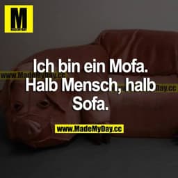 Ich bin ein Mofa. Halb Mensch, halb Sofa.