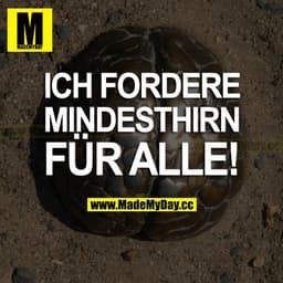 ICH FORDERE MINDESTHIRN FÜR ALLE!