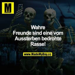 Wahre Freunde sind eine vom Aussterben bedrohte Rasse!