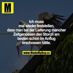 Ich muss mal wieder feststellen, dass man bei der Lieferung mancher Zeitgenossen den Storch am besten schon im Anflug er