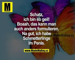Schatz, ich bin so geil! Boaah, das kann man auch anders formulieren. Na gut, ich habe Schmetterlinge im Penis.