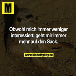 Obwohl mich immer weniger interessiert, geht mir immer mehr auf den Sack.