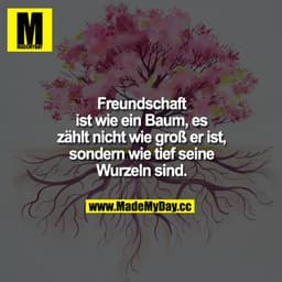 Freundschaft ist wie ein Baum, es zählt nicht wie groß er ist, sondern wie tief seine Wurzeln sind.