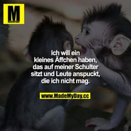 Ich will ein kleines Äffchen haben, das auf meiner Schulter sitzt und Leute anspuckt, die ich nicht mag.