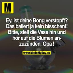 Ist deine Bong verstopft? Das ballert ja kein bisschen!! Bitte, stell die Vase hin und hör auf die Blumen anzuzünden, Op