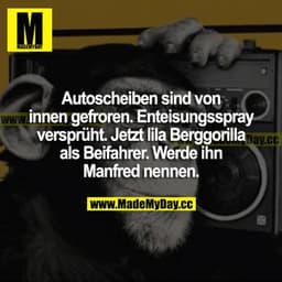 Autoscheiben sind von innen gefroren. Enteisungsspray versprüht. Jetzt lila Berggorilla als Beifahrer. Werde ihn Manfred