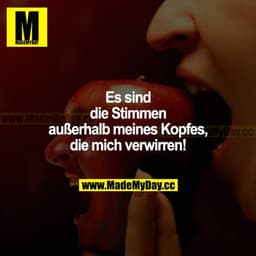 Es sind die Stimmen außerhalb meines Kopfes, die mich verwirren!
