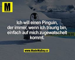 Ich will einen Pinguin, der immer, wenn ich traurig bin, einfach auf mich zugewatschelt kommt.