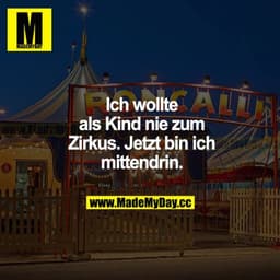 Ich wollte als Kind nie zum Zirkus. Jetzt bin ich mittendrin.