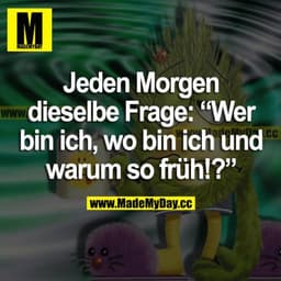 Jeden Morgen dieselbe Frage: "Wer bin ich, wo bin ich und warum so früh?"