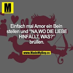 Einfach mal Amor ein Bein stellen und "NA,WO DIE LIEBE HINFÄLLT, WAS?" brüllen.