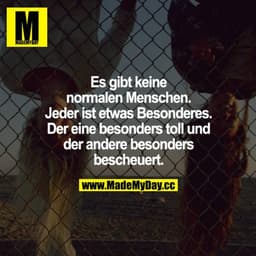 Es gibt keine normalen Menschen. Jeder ist etwas Besonderes. Der eine besonders toll und der andere besonders bescheuert