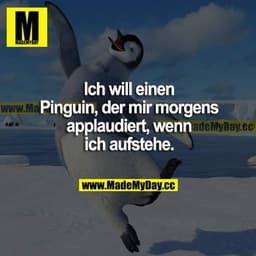 Ich will einen Pinguin, der mir morgens applaudiert, wenn ich aufstehe.