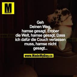 Geh deinen Weg, hamse gesagt. Erober die Welt, hamse gesagt. Dass ich dafür die Couch verlassen muss, hamse nicht gesagt
