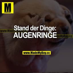 Stand der Dinge: AUGENRINGE