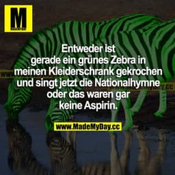 Entweder ist gerade ein grünes Zebra in meinen Kleiderschrank gekrochen und singt jetzt die Nationalhymne oder das waren