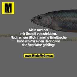 Mein Arzt hat mir Seeluft verschrieben. Nach einem Blick in meine Brieftasche, habe ich mir einen Hering vor den Ventila
