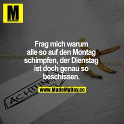 Frag mich, warum alle so auf den Montag schimpfen, der Dienstag ist doch genau so beschissen.