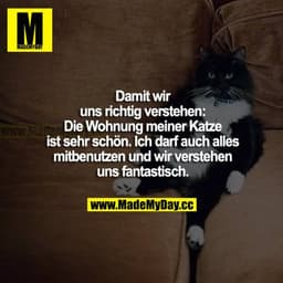 Damit wir uns richtig verstehen: Die Wohnung meiner Katze ist sehr schön. Ich darf auch alles mitbenutzen und wir verste